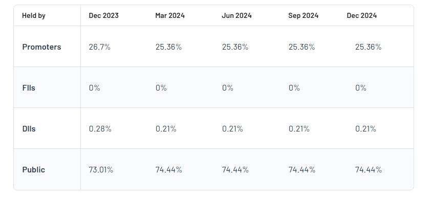 Rajnish Retail Shareholding Pattern