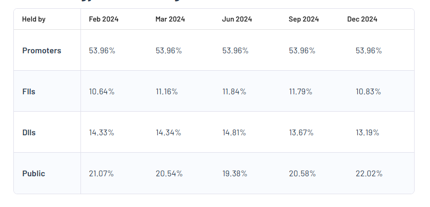 Swan Energy Shareholding Pattern